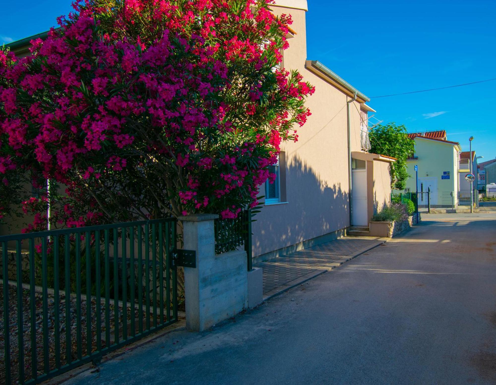 Apartments Anita Frane Vodice Exteriör bild